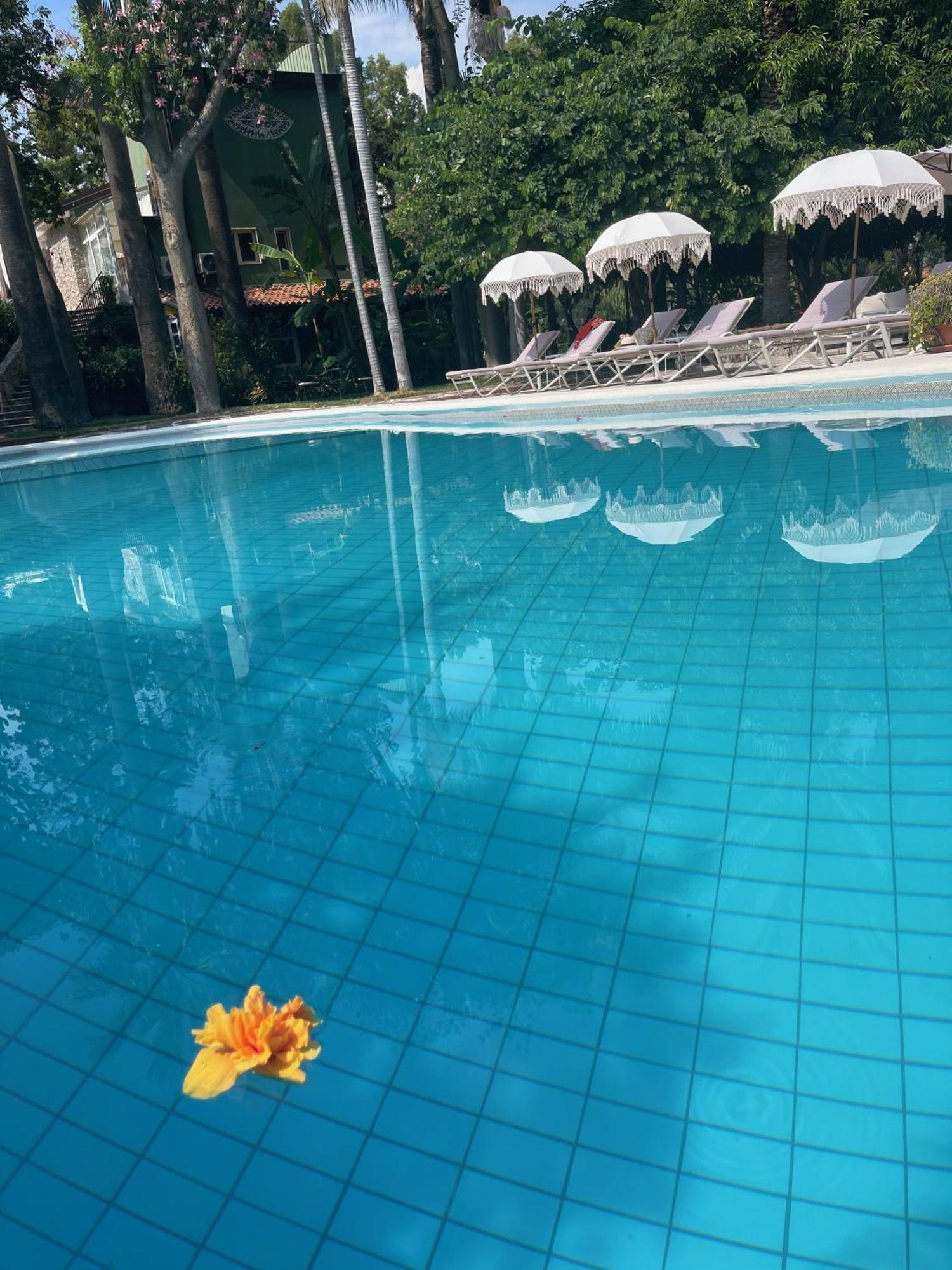 B&B La Villa Giardini Naxos Eksteriør billede
